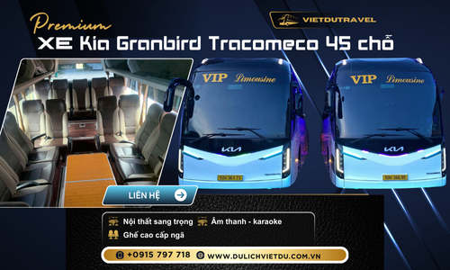 Cho thuê xe 45 chỗ Kia Granbird