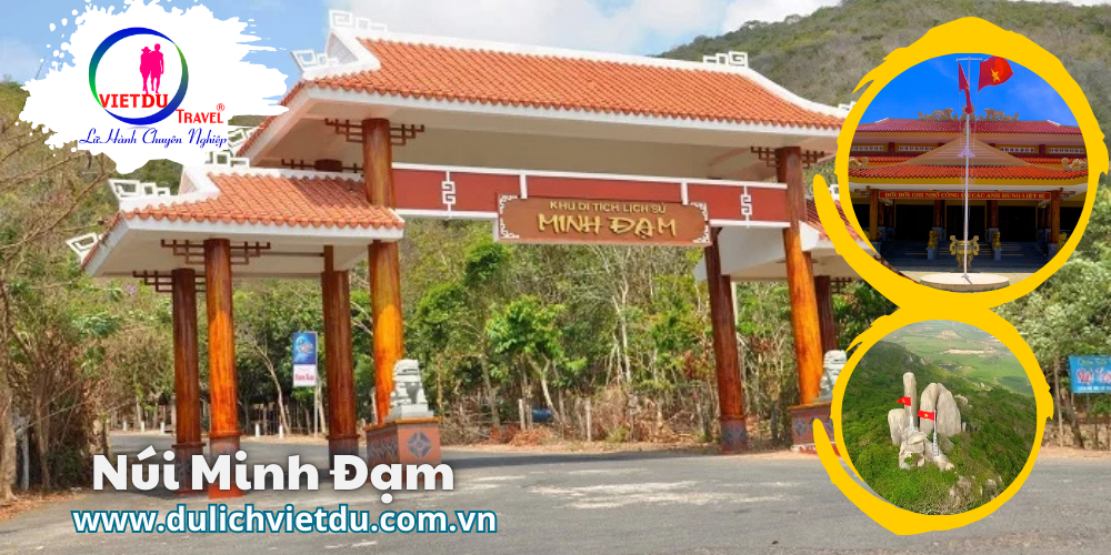 Tour Long Hải 1 ngày – Team Building