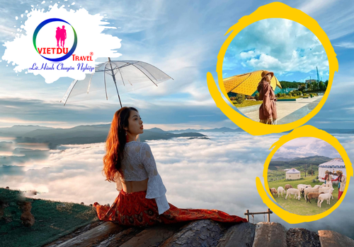 Tour Đà Lạt 3 ngày 3 đêm