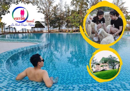 Tour đồi cừu lagi 2 ngày 1 đêm