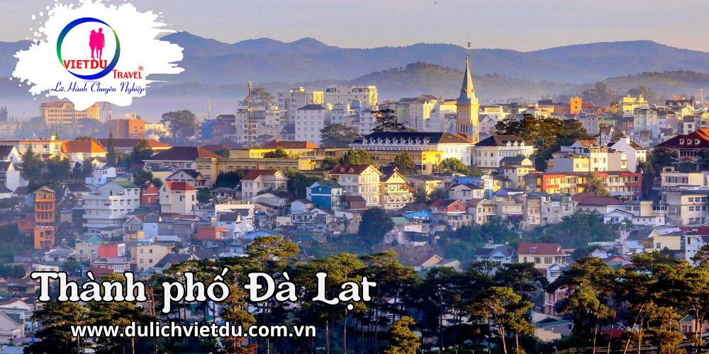 Tour Đà Lạt 2 ngày 2 đêm – Khách sạn 2 sao chất lượng
