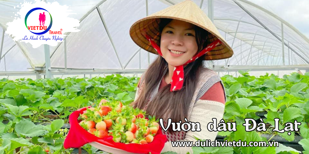 Tour Đà Lạt 2 ngày 2 đêm – Khách sạn 2 sao chất lượng