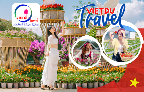 Tour Đà Lạt 3 ngày 2 đêm Lễ 30/4/2026