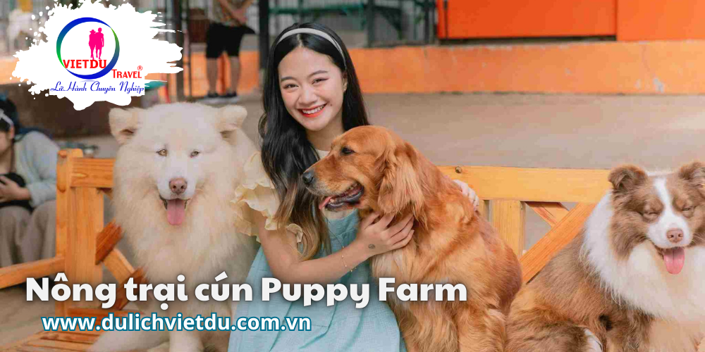 Tour Đà Lạt Lễ 30/4/ (3 ngày 3 đêm)