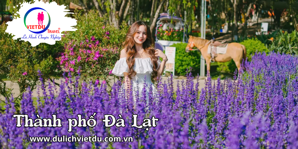 Tour Đà Lạt 4 ngày 3 đêm Lễ 30/4/2026