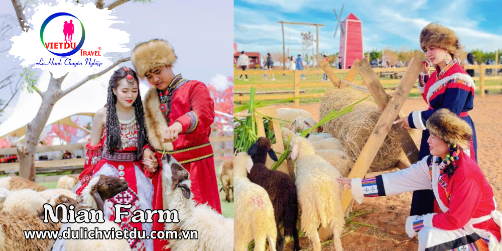 Tour tết 2027: Phan Thiết 2 ngày 1 đêm