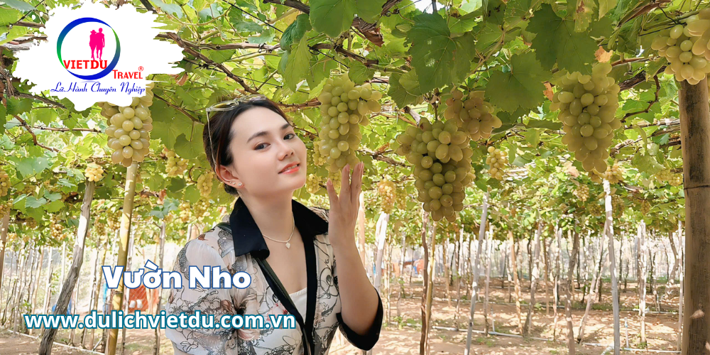 Tour du lịch Nha Trang 3 ngày 3 đêm – Bao Vinpearland