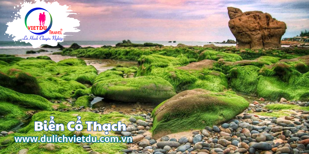 Tour Ninh Chữ Vĩnh Hy 3 ngày 3 đêm – Team Building -Lửa Trại – Gala Dinner