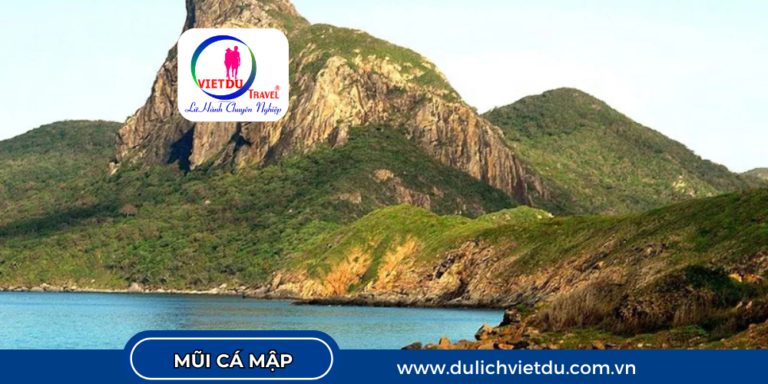Mũi Cá Mập