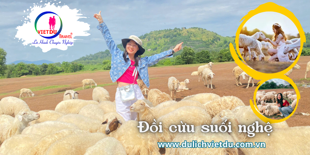 Tour Coco Beach Camp 2 ngày 1 đêm -Ngủ Phòng ( Thứ 2 – Thứ 6)