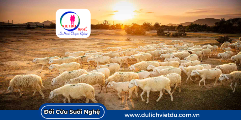 Đồi Cừu Suối Nghệ Vũng Tàu