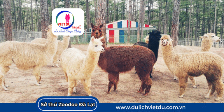 Sở thú Zoodoo Đà Lạt