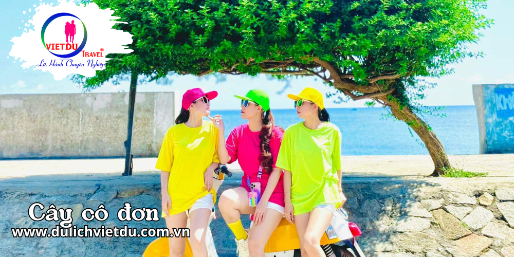 Tour Phan Thiết Đảo Phú Quý 4 ngày 3 đêm