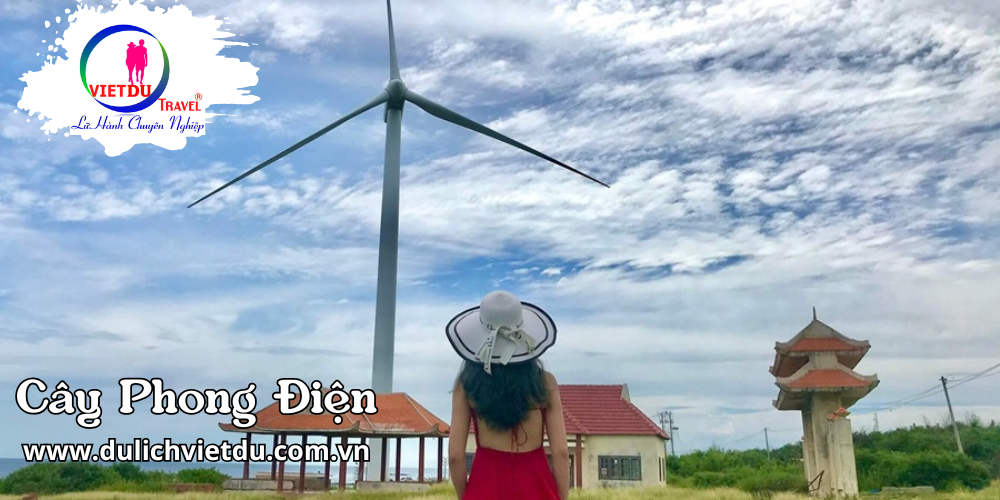 Tour Đảo Phú Quý 3 ngày 3 đêm