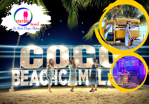 Tour coco beach camp ở lều