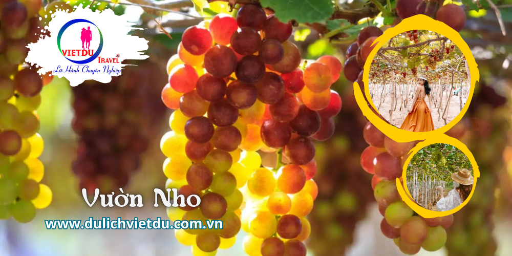Tour Cù Lao Câu Cổ Thạch 2 ngày 2 đêm