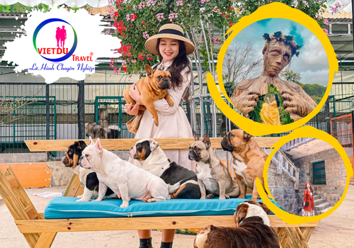 Du lịch Đà Lạt 3 ngày 2 đêm