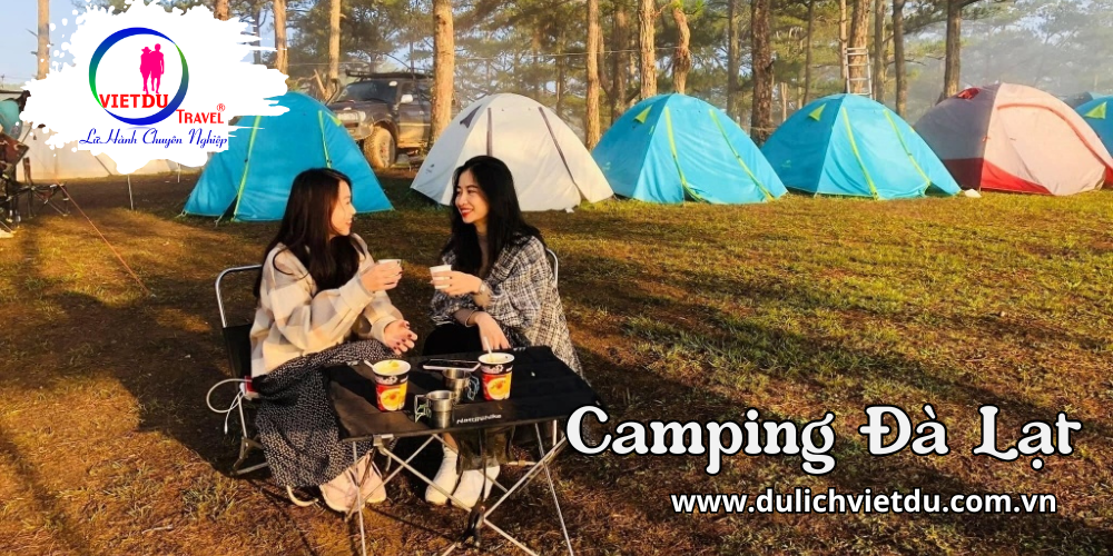 Tour Đà Lạt Camping 2 ngày 2 đêm