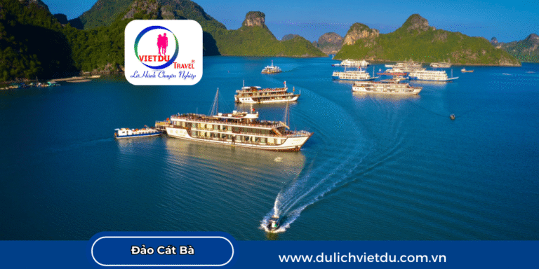 Đảo Cát Bà