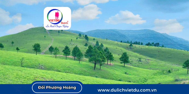 Đồi Phượng Hoàng Quảng Ninh