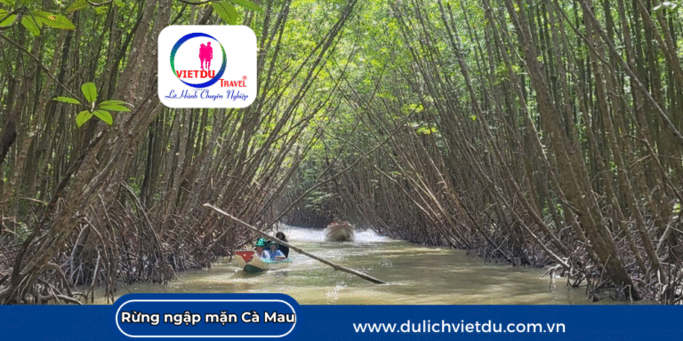 Địa điểm du lịch Cà Mau