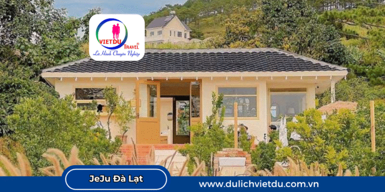 Điện ảnh JeJu Đà Lạt