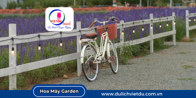 Hoa Mây Garden Đà Lạt