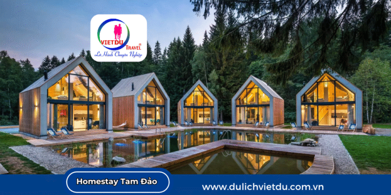 Homestay ở Tam Đảo cực chill