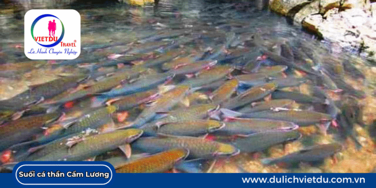 Địa điểm du lịch Thanh Hóa đẹp