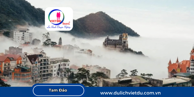 Tam Đảo Vĩnh Phúc