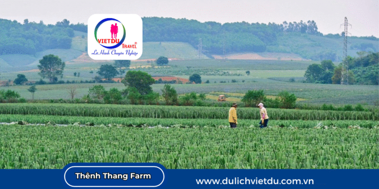 Thênh Thang Farm