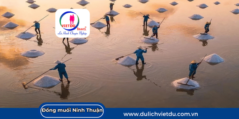 Cánh đồng muối Ninh Thuận
