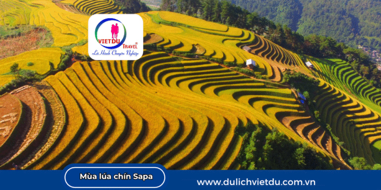 Du lịch Sapa