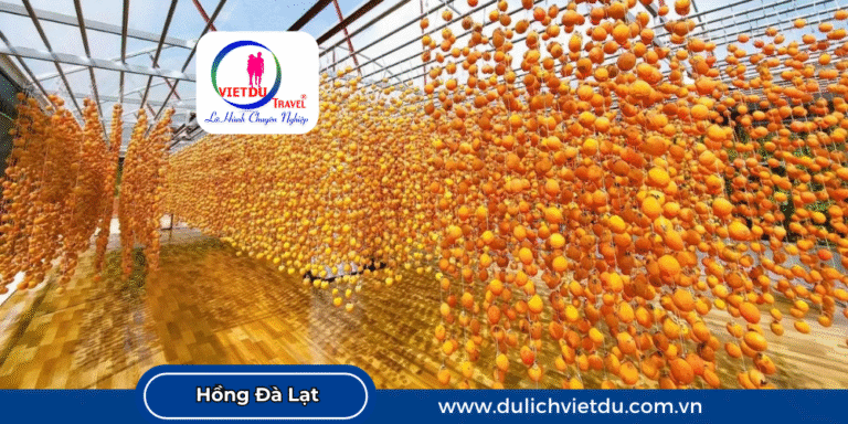 Vườn hồng Đà Lạt một đặc sản mùa thu