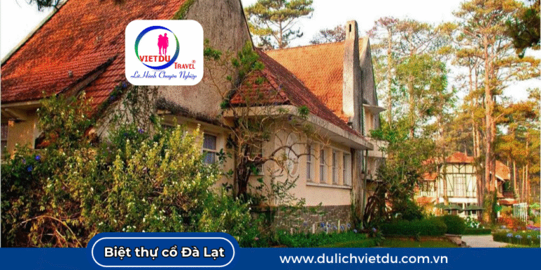 Biệt thự cổ Đà Lạt ma mị ẩn mình dưới tán thông