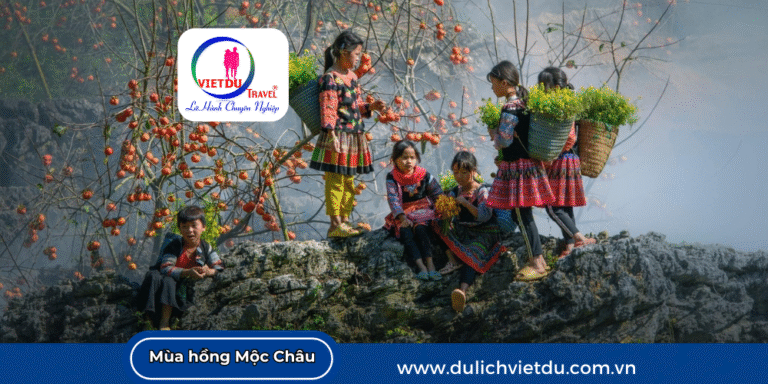 Mùa hồng Mộc Châu