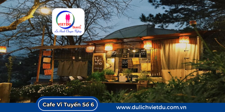 Quán cà phê Đà Lạt view rừng thông