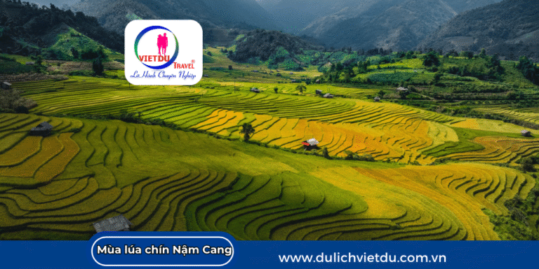 Săn mùa lúa chín Nậm Cang