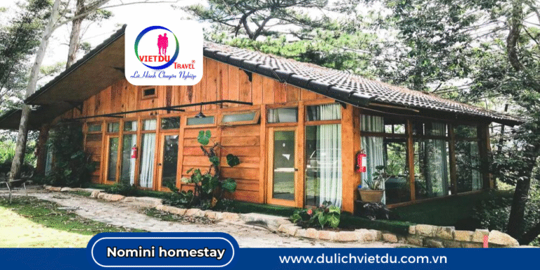 Homestay ở Đà Lạt view rừng thông