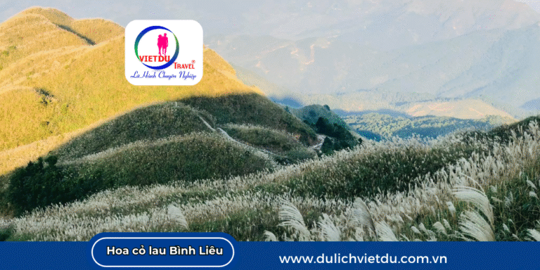 Mùa hoa cỏ lau Bình Liêu Quảng Ninh