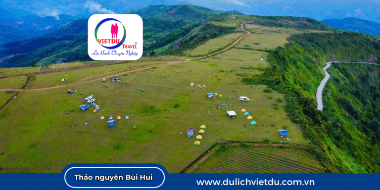 Thảo nguyên Bùi Hui Quảng Ngãi