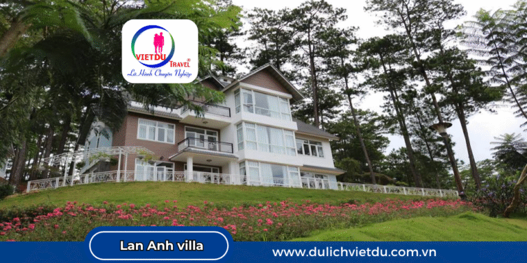 Villa ở Đà Lạt view rừng thông