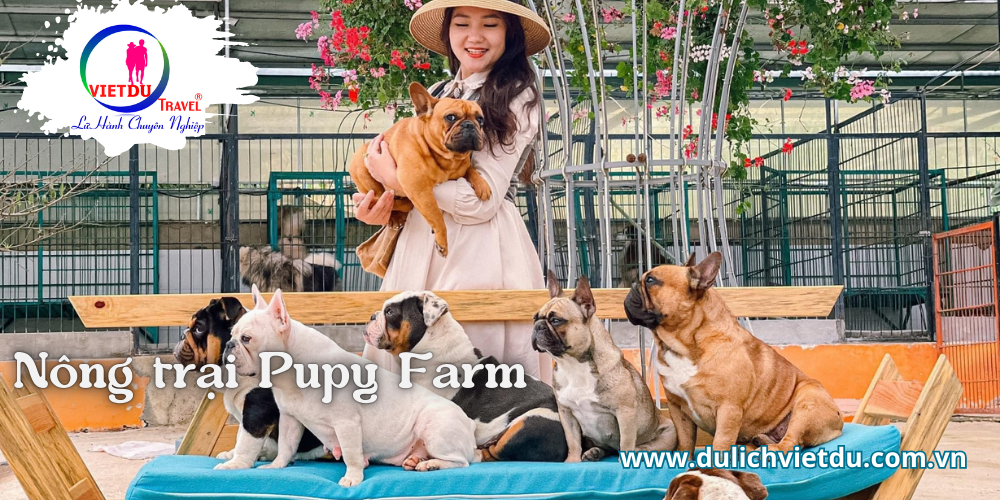 Tour du lịch Đà Lạt 3 ngày 3 đêm