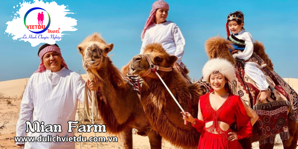 Tour Tết Phan Thiết 2 ngày 1 đêm (2027)