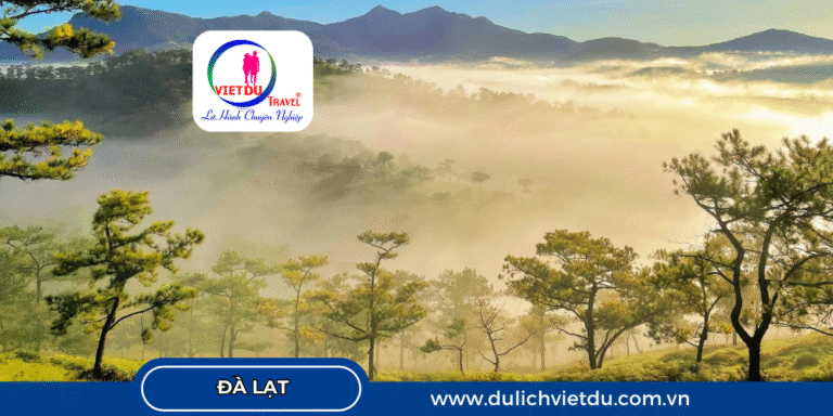 Các khu du lịch sinh thái ở Đà Lạt được ưa chuộng