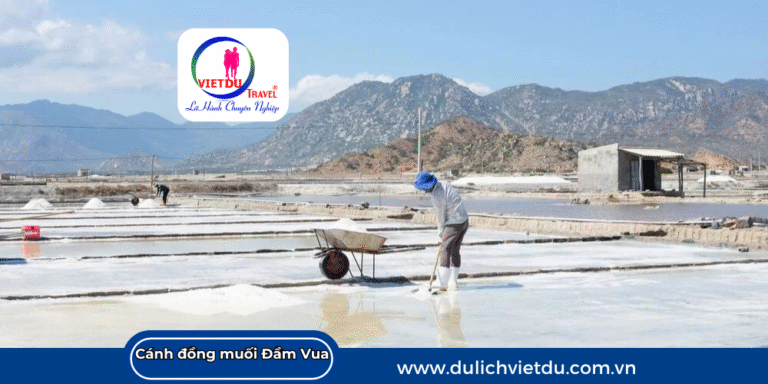 Cánh đồng muối Đầm Vua Ninh Thuận, trắng tinh khôi