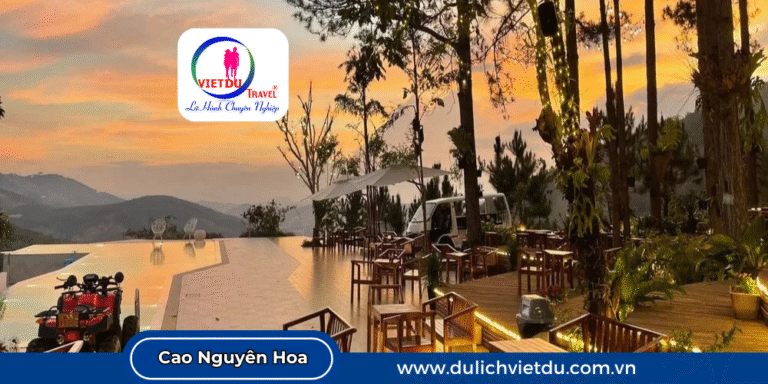 Cao Nguyên Hoa Đà Lạt