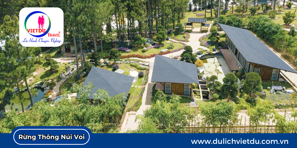 Khu du lịch Rừng Thông Núi Voi Đà Lạt mang vẻ đẹp thiên nhiên hùng vĩ