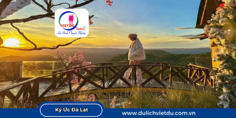 Ký Ức Đà Lạt, quán cà phê view rừng thông ngắm mây bay