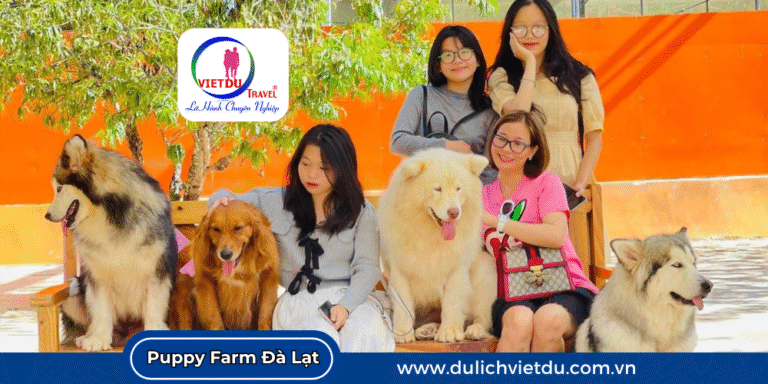 Nông trại cún Puppy Farm Đà Lạt